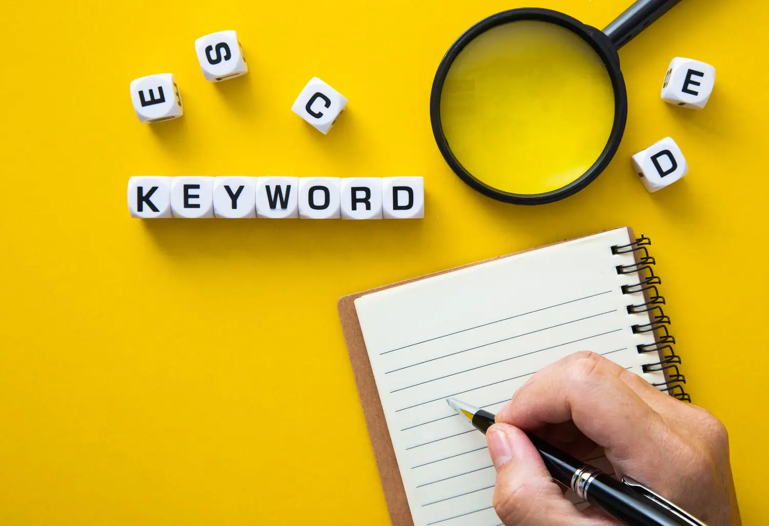 Long-tail keywords: strategia pozycjonowania na frazy długiego ogona