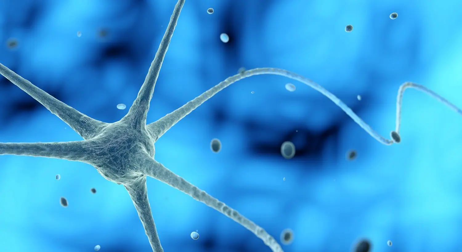 Neuromorphic Engineering: biologicznie inspirowane układy elektroniczne
