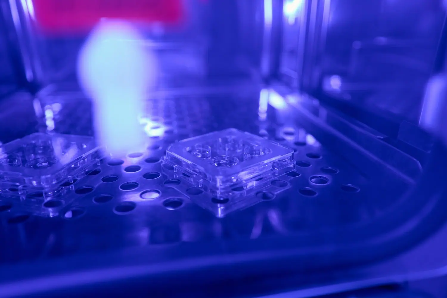 Czym jest biodruk 3D i jak może zrewolucjonizować transplantologię oraz medycynę przyszłości?